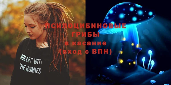 стафф Богданович